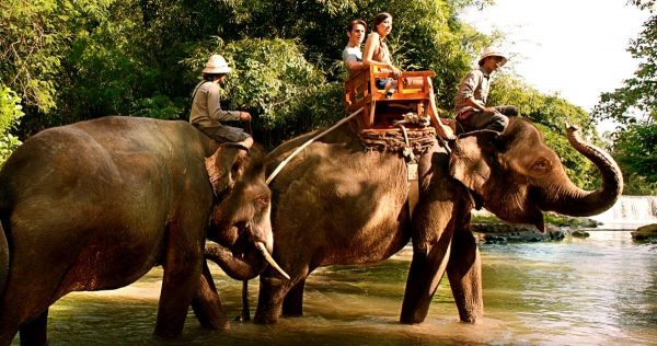 【バリズー】入場券とエレファントライド(象乗り)体験(バリ動物園 Bali Zoo) 2025-2026年割引料金