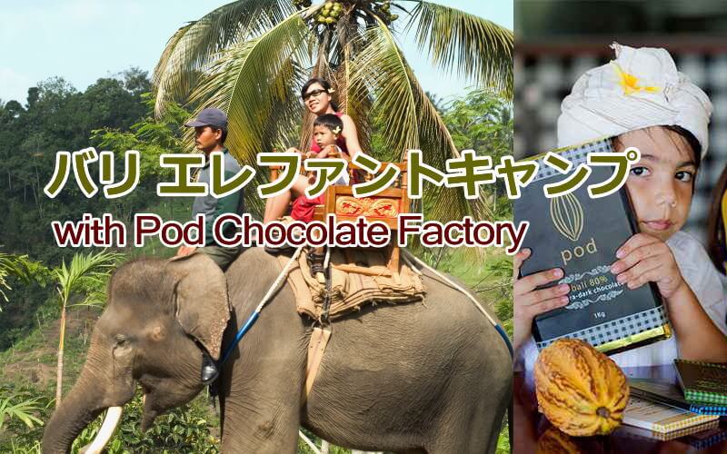 エレファントキャンプwithPod Chocolate