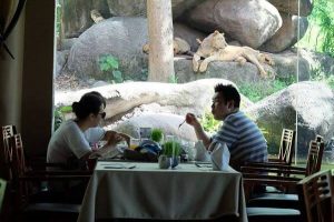 バリサファリ＆マリンパーク ツァボライオンレストラン