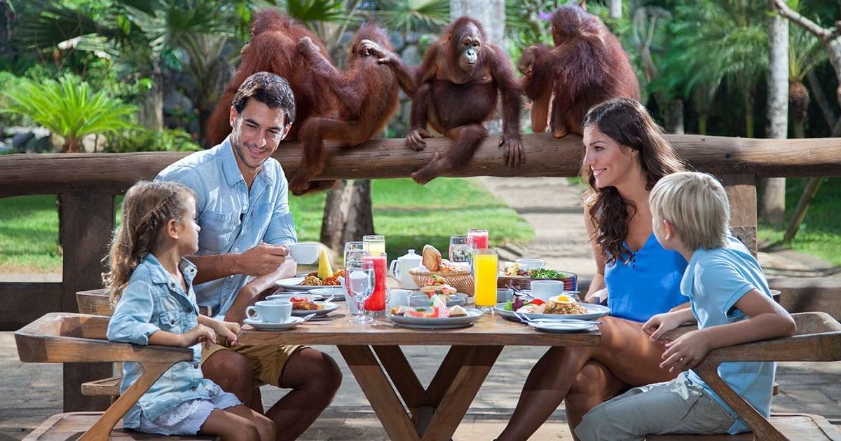 2025-2026年【バリズー】オランウータンと朝食&エレファントライド(バリ動物園 Bali Zoo)チケット料金