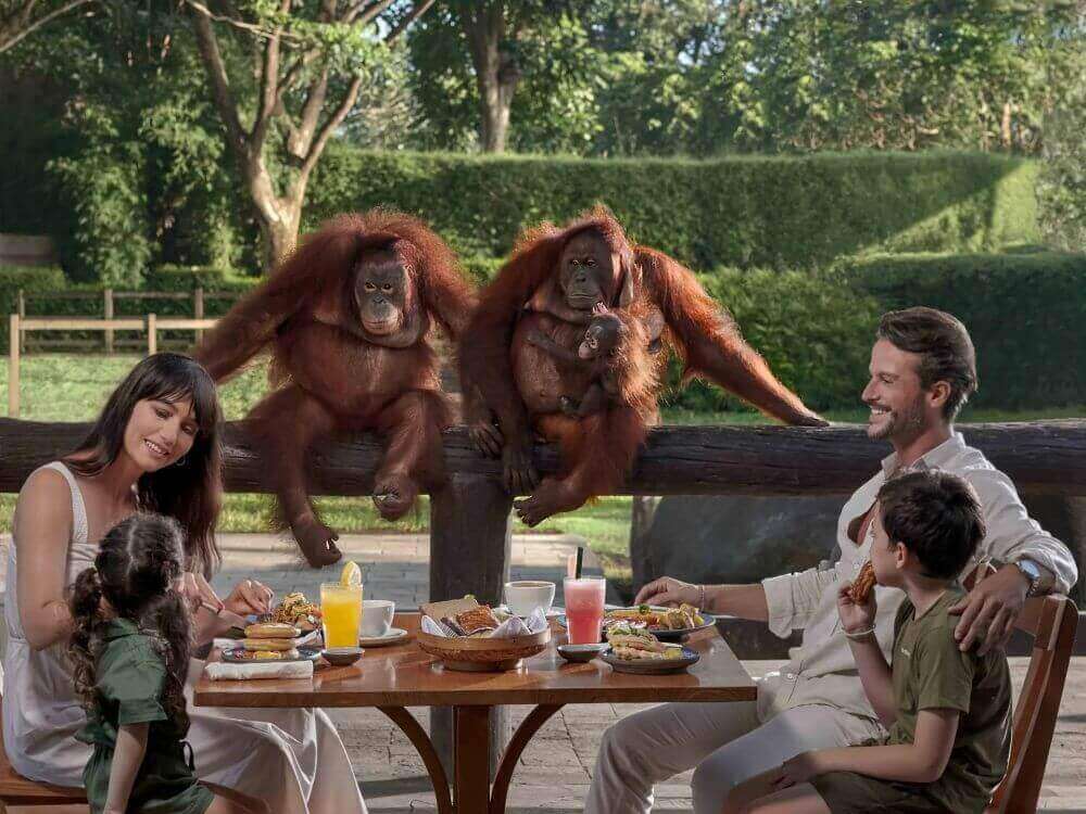 オランウータンと朝食