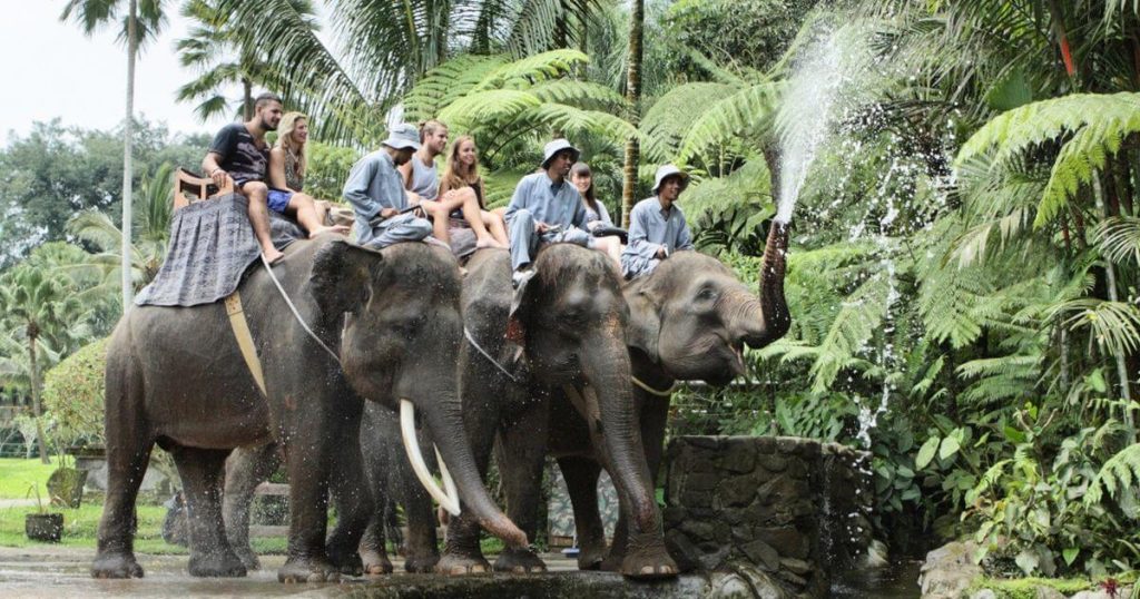 エレファントサファリパーク　エレファントライド