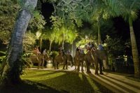 サファリアンダーザスター　エレファントライド