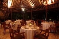 サファリアンダーザスター　ディナー