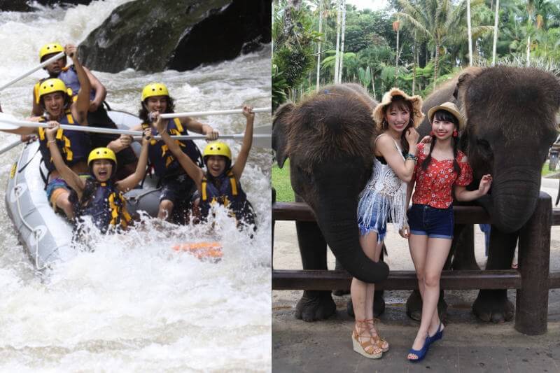 アユン川ラフティング＋エレファントサファリパーク