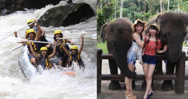 2026年バリ島 アユン川ラフティング+エレファントサファリパーク料金