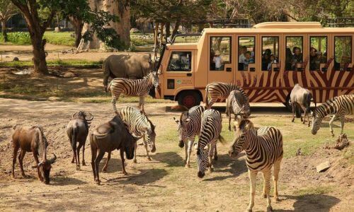 バリサファリ&マリンパーク