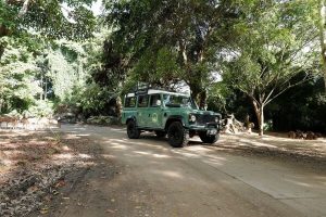 バリサファリ　バリトレイル4X4