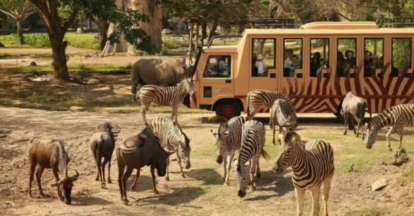 2026年【バリサファリパーク】　ジャングルホッパーなど入場チケット予約