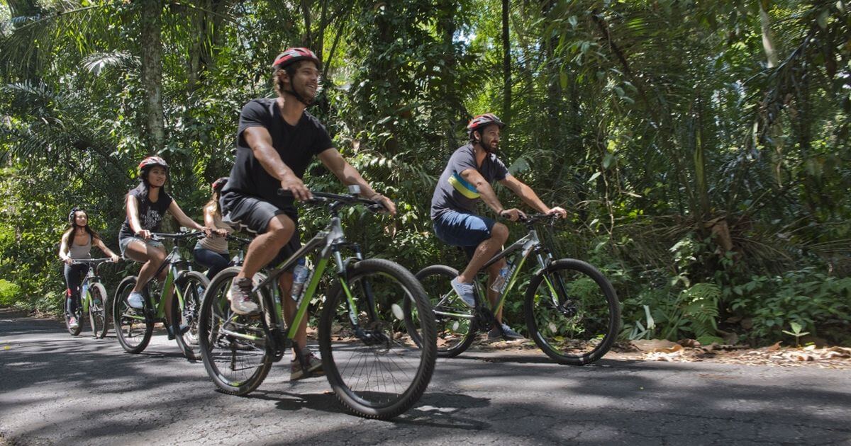 マウンテンサイクリング