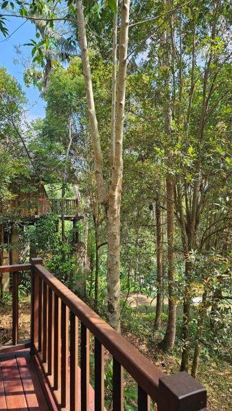 スパatカユマニスウブド