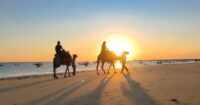 2025-2026年【バリ キャメルアドベンチャー】1日1組だけのサンセットキャメルライド