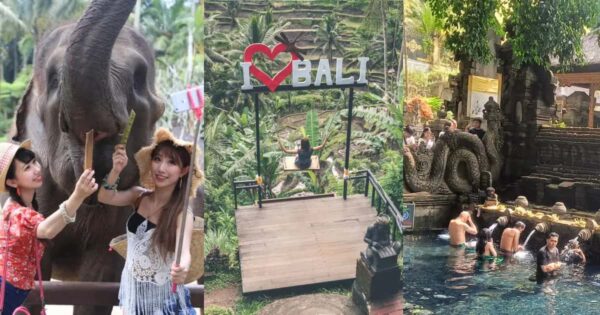 2026年 【バリ島エレファントサファリパーク+世界遺産ティルタエンプル＋テガララン＋ウブド散策コース】貸切ツアー