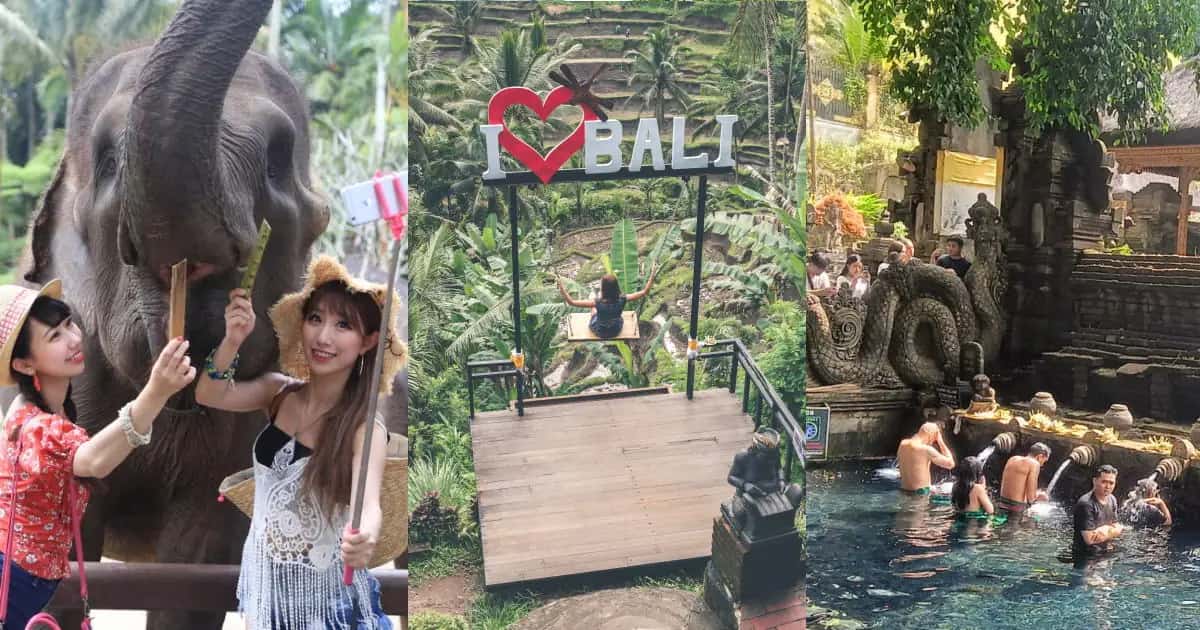 バリ島エレファントサファリパーク＋テガラランのライス＋ティルタエンプル＋ウブド1日プライベートツアー