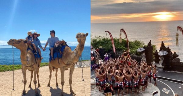 2025-2026年【キャメルライド＋ウルワツ寺院ケチャダンス＋シーフードディナー 】貸切ツアー料金