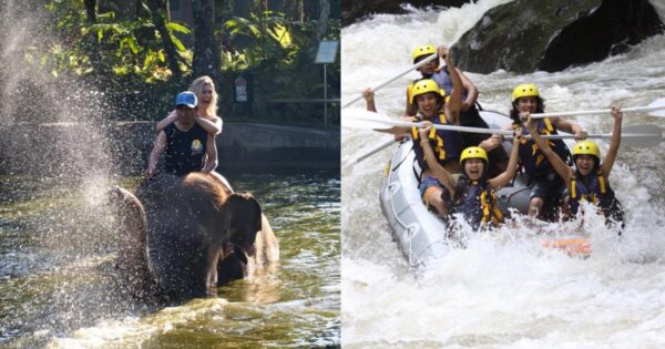 2025-2026年バリ島で象の水浴び体験+アフタヌーンラフティング【エレファントサファリパーク】チケット料金