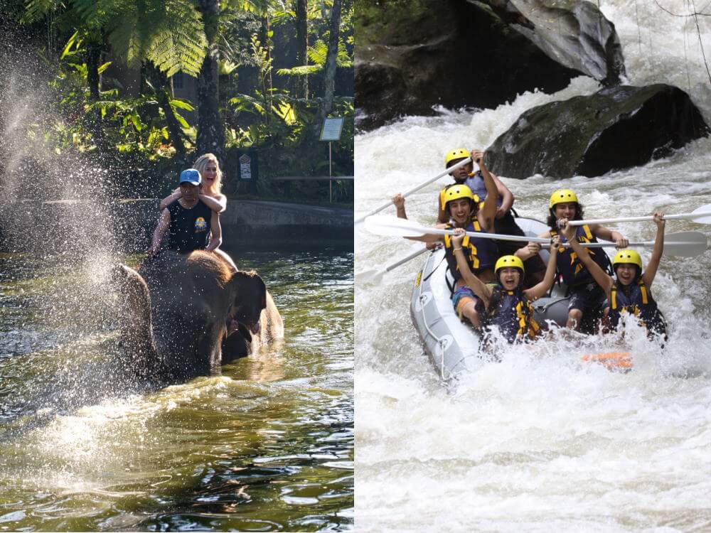 象の水浴び+アフタヌーンラフティング