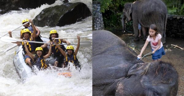 2026年バリ島 アユン川ラフティング+象洗い体験(エレファントサファリパーク)料金