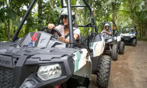 ジャングルバギー